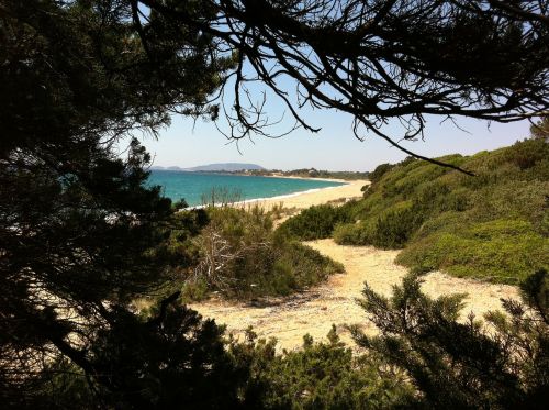 greece beach summer