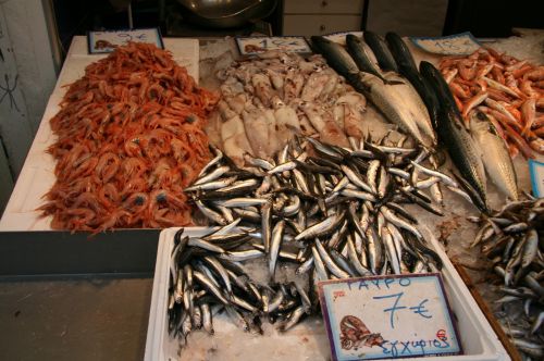 Greece Fish Market