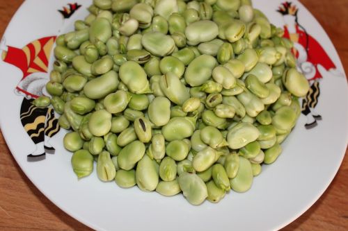 green beans food