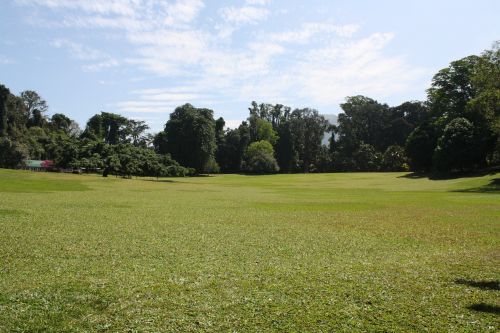 park prato day light