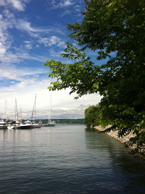 green trees boats