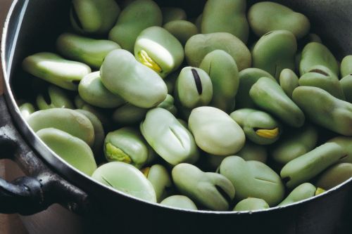 beans green veggie
