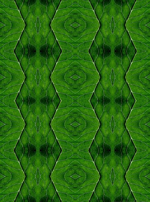 green wallpaper texture