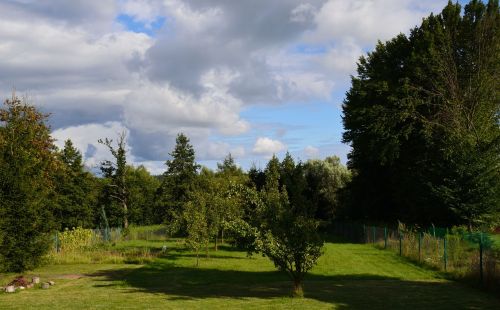 green tree garden