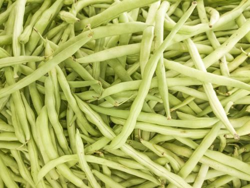 green pea green bean