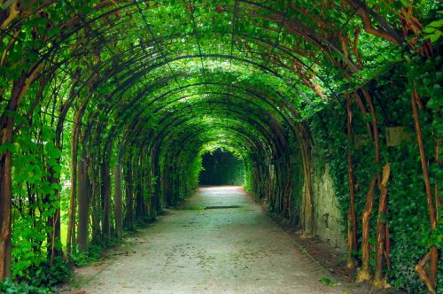 green tunnel natural