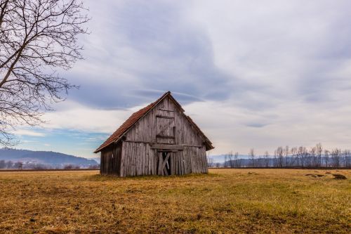 green grass hut