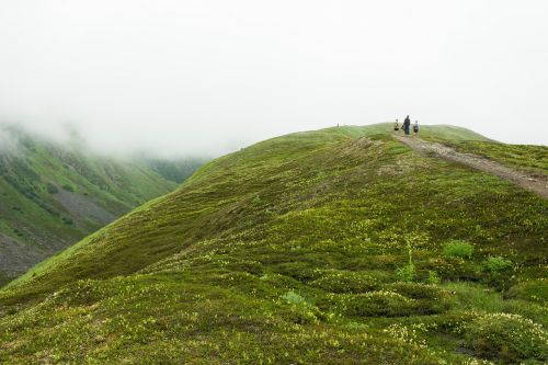 green grass highland