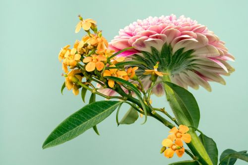 green leaf flower