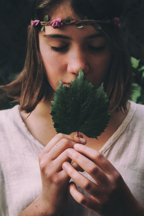 green leaf plant