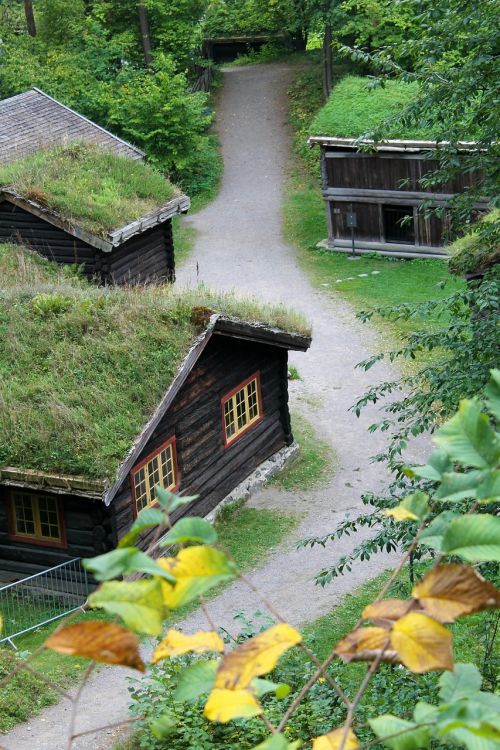 green grass house