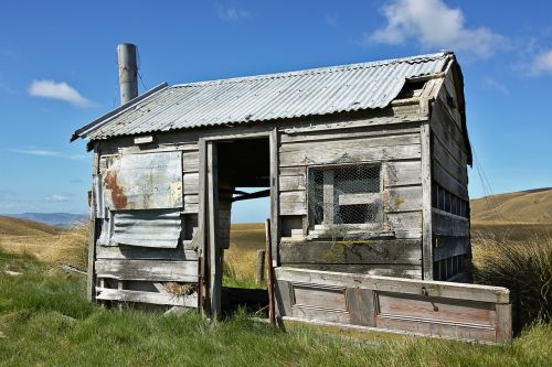 green grass hut