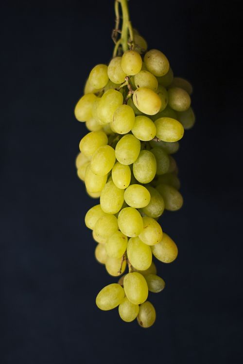 green grapes fruits