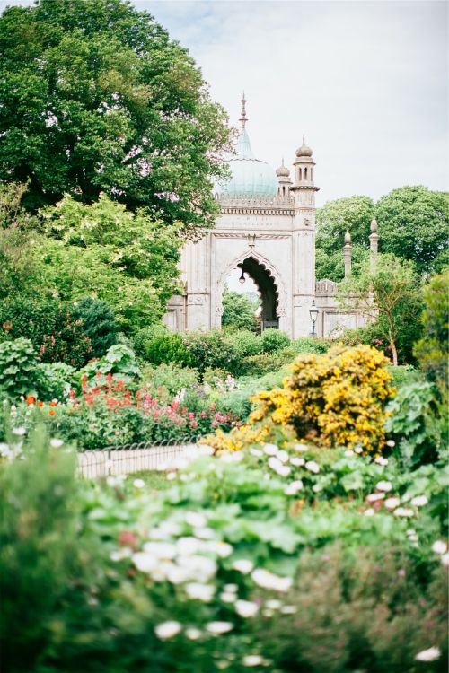 green garden flowers