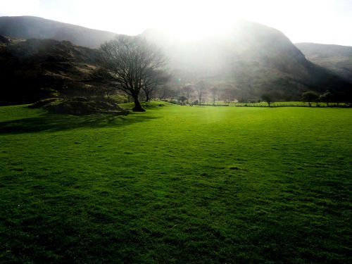 green meadow ireland