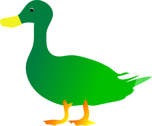 green bird duck