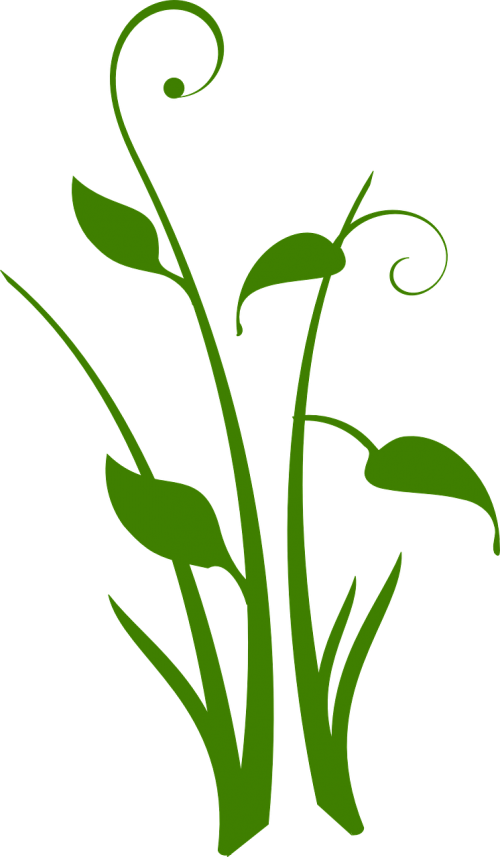 green plant floral design
