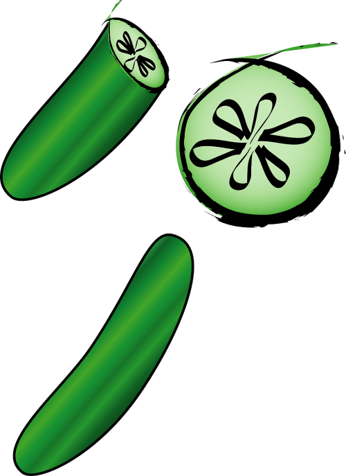 cucumber vegetable slices