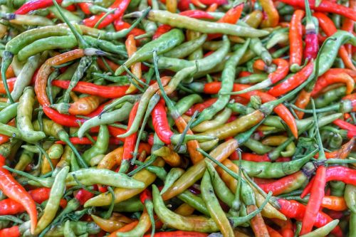 green red chilli
