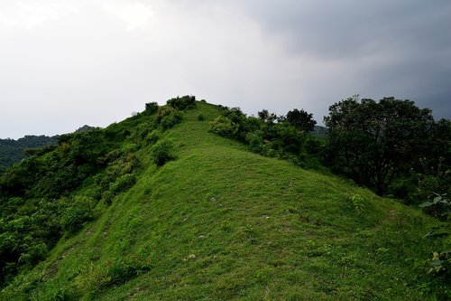 green  hill  landscape
