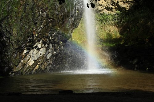 green  summer  waterfall