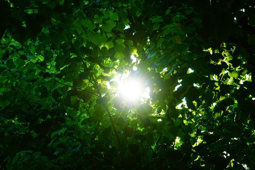 green  tunnel  light