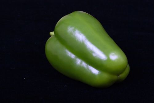 green sweet pepper vegetable