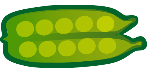 green peas pods