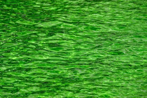green  water  ripples