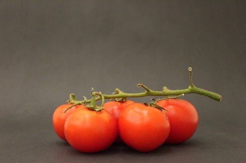 green  handle  tomato