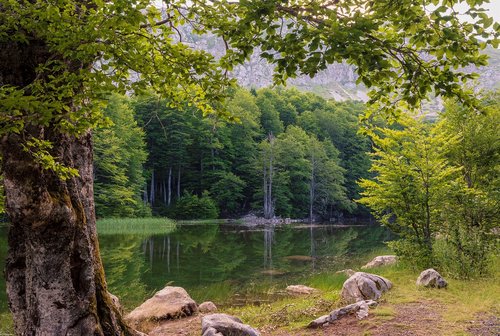 green  mountain  landscape