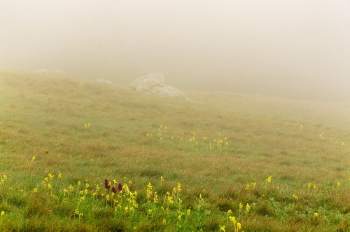 green  mountain  landscape