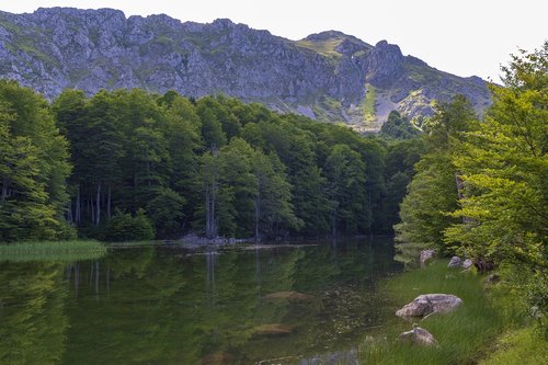 green  mountain  landscape