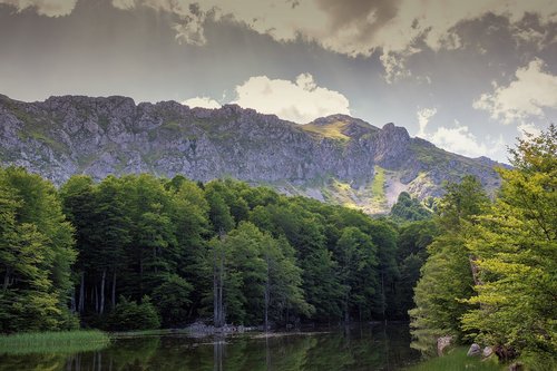 green  mountain  landscape