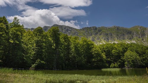 green  mountain  landscape