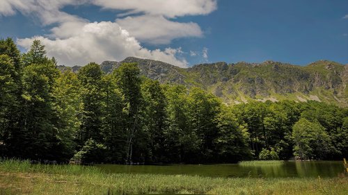 green  mountain  landscape