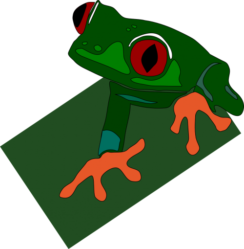 green frog red