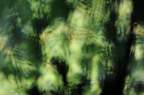 green out of focus structure