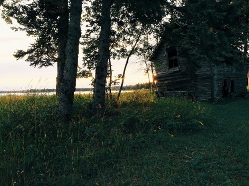 green grass rural