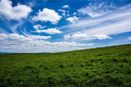 green grass field