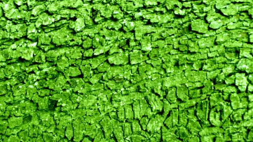 Green Abstract Pattern Background