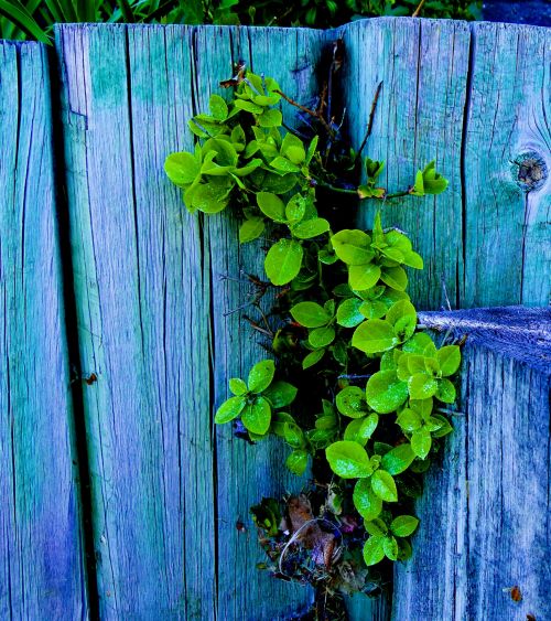 Green And Blue Background