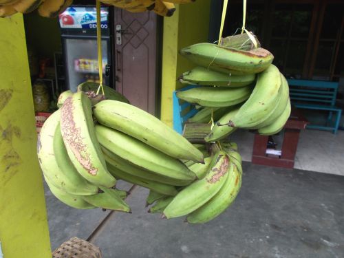 Green Banana Fruits At The Store