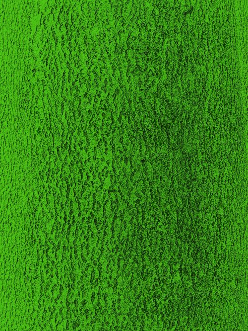 Green Bark Texture