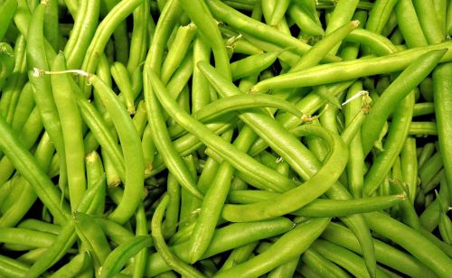 green beans harvest vegetable