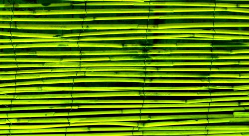 Green Blinds Background