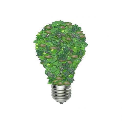green bulb ecology green