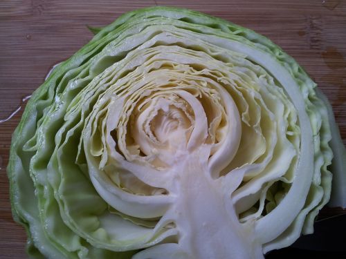 green cabbage half raw cabbage