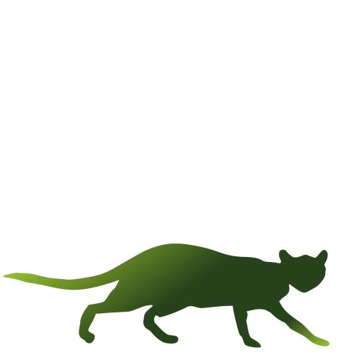 Green Cat