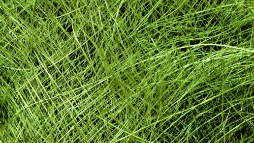 Green Colored Straw Background